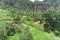 Property For Sale: Land For Sale Lot 2 Penniston RefEJPP399