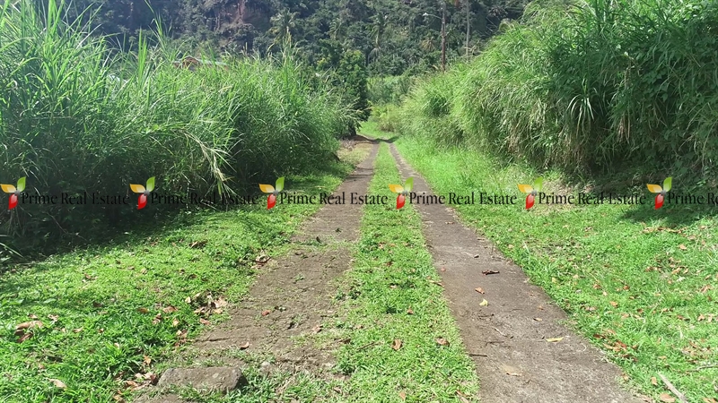 Property For Sale: Land For Sale Lot 2 Penniston RefEJPP399