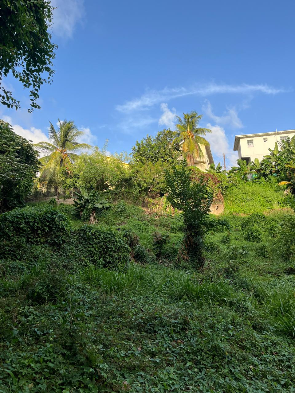 Property For Sale: Land For Sale Belvedere RefLCLB407