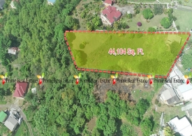 Property For Rent: Land For Sale Choppins Golden Vale REF KIGVP