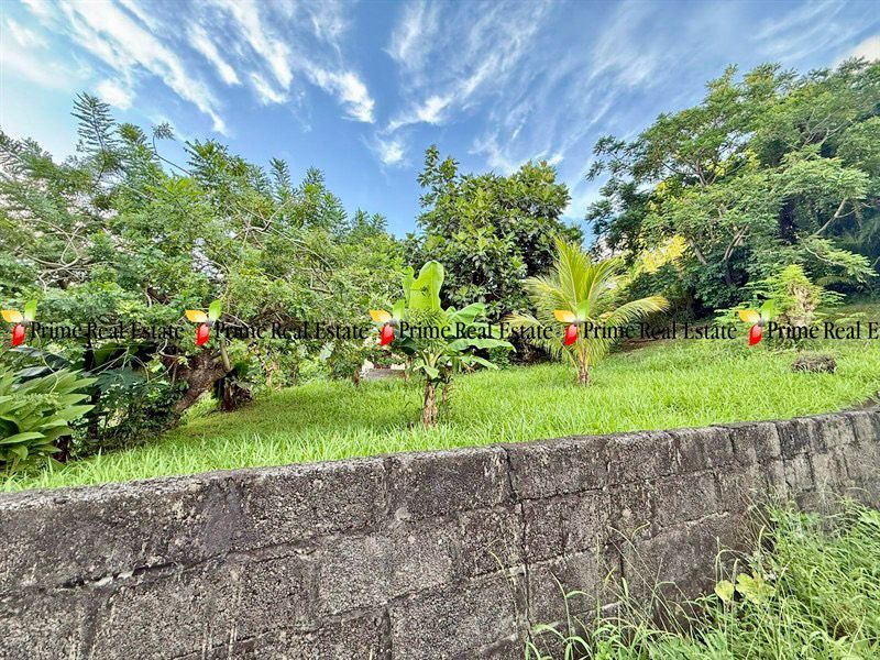 Property For Sale: DIVINE HOUSE For Sale BIABOU RefDJARB412