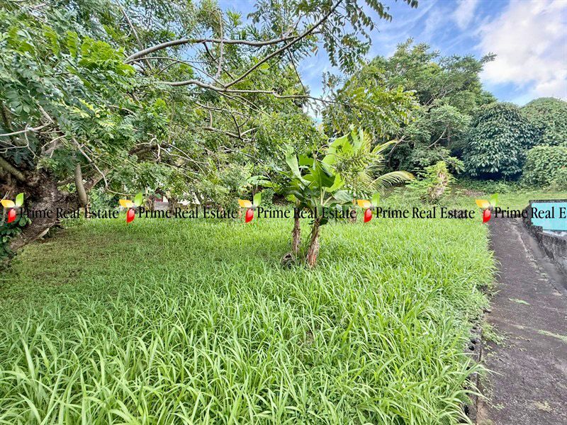 Property For Sale: DIVINE HOUSE For Sale BIABOU RefDJARB412