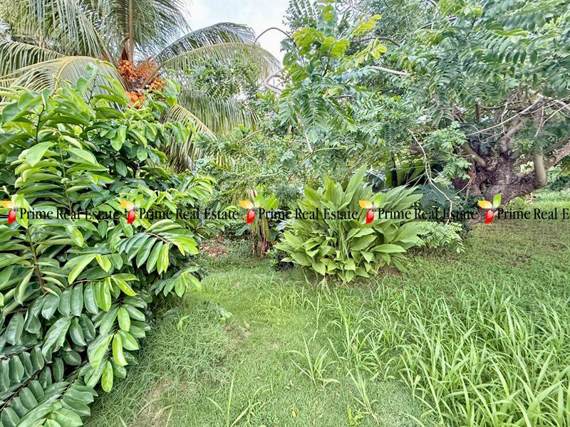 Property For Sale: DIVINE HOUSE For Sale BIABOU RefDJARB412