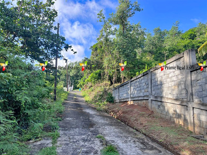 Property For Sale: Land For Sale Golden Vale Ref TFRGV414